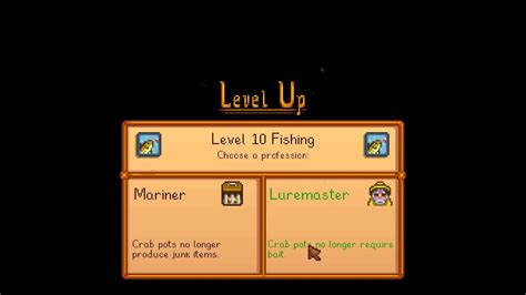 stardew best fishing profession|level 10 fishing stardew.